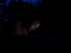 Andy concentrating (Takaka 2013)