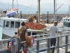 Brendan and Andy investigate the coffee ship (Takaka 2013)