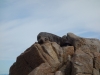 Don't wake me up, I'm rather sleepy (Takaka 2013)