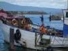 Drinking coffee on the Espresso Ship (Takaka 2013)