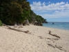 Goat Bay (Takaka 2013)