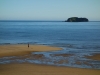 Mum on the beach in Ligar Bay (Takaka 2013)