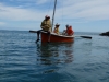 Row, row, row your boat (Takaka 2013)