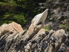 Seal rock (Takaka 2013)