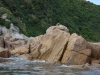 Seal snoozing on the rock (Takaka 2013)