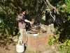 The kiwi bloke's helper (Takaka 2013)