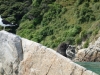 They are not talking (Takaka 2013)