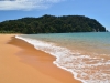 Totaranui beach (Takaka 2013)