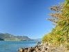 View from Tata Islands 2 (Takaka 2013)