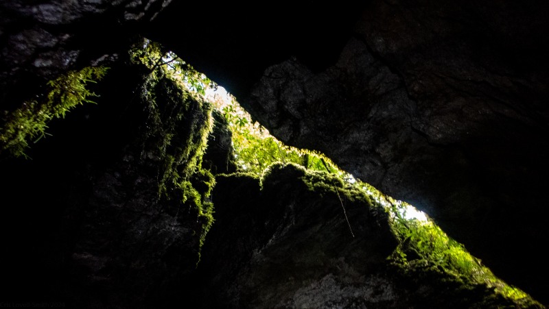 Daylight above (Te Tahi cave Jan 2025)