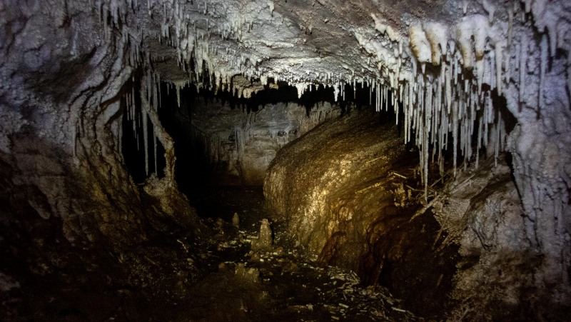 Formations in the cave (Te Tahi cave Jan 2025)