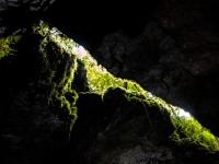 Daylight above (Te Tahi cave Jan 2025)