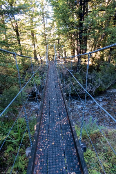 View across the bridge (Tramping Angelus Hut May 2021)