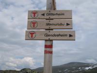 Tramping Bergen, Norway June 2009 with Cris, Chris and Emily.