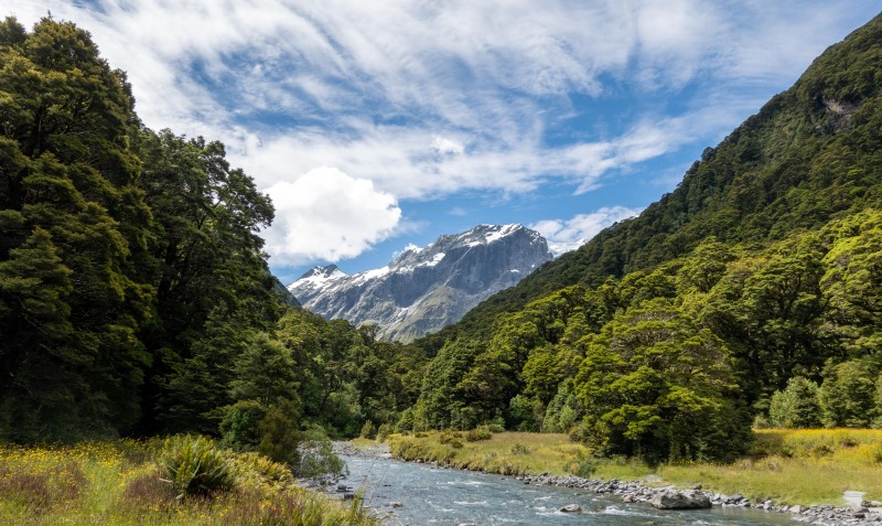 View up the valley (Adventures with Craichel Jan 2022)