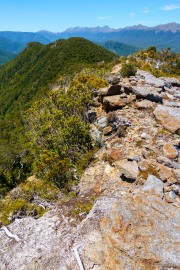 On the ridge (Garibaldi Tramp 2019)