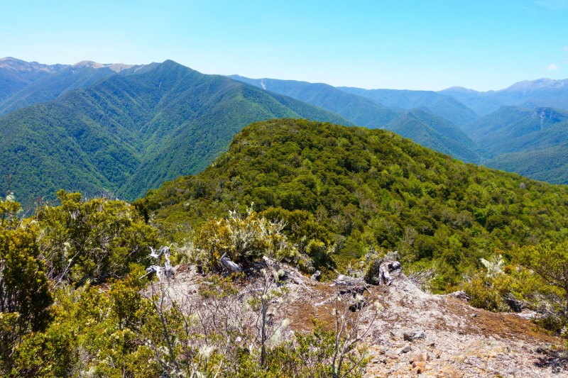 On the ridge (Garibaldi Tramp 2019)