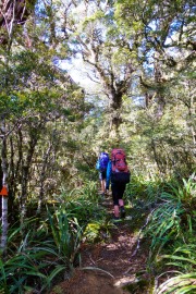 Setting off (Garibaldi Tramp 2019)