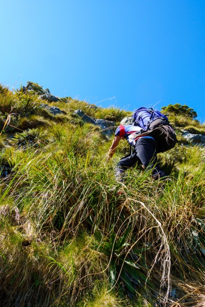 Steep ascent (Garibaldi Tramp 2019)