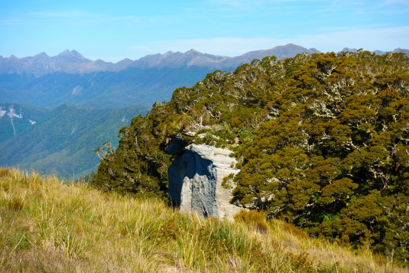 View across to cliffs (Garibaldi Tramp 2019)