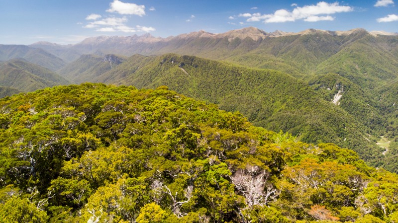 View from above on the ridge (Garibaldi Tramp 2019)