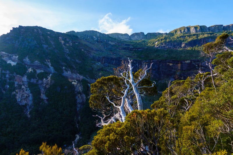 View of cliffs (Garibaldi 2019)