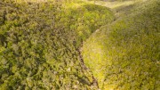 View of the Silvermine creek (Garibaldi 2019)