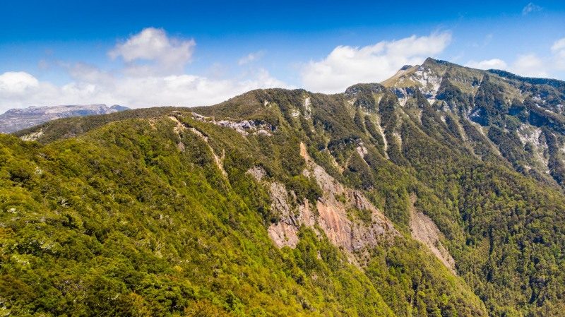 View of the ridge line (Garibaldi Tramp 2019)
