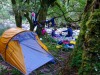 Camping in Jupiter Creek (Garibaldi 2019)