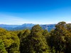 Nice view (Garibaldi Tramp 2019)