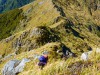 Pat below (Garibaldi Tramp 2019)