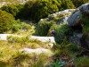 Pat descends (Garibaldi Tramp 2019)