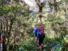 Setting off (Garibaldi Tramp 2019)
