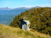 View across to cliffs (Garibaldi Tramp 2019)