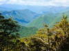 View down into the valley (Garibaldi Tramp 2019)