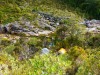View down towards camp (Garibaldi Tramp 2019)