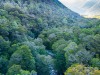 View of Jupiter Creek (Garibaldi 2019)