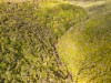 View of the Silvermine creek (Garibaldi 2019)
