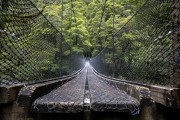 Bridge over the North Branch (Gillespie Pass Tramp Nov 2021)