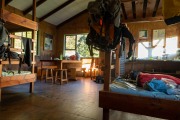 Inside Kerin Forks Hut in the morning (Gillespie Pass Tramp Nov 2021)