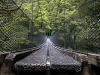 Bridge over the North Branch (Gillespie Pass Tramp Nov 2021)