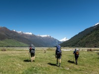 Heading off up the Wilkin (Gillespie Pass Tramp Nov 2021)