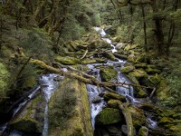 Nice river (Gillespie Pass Tramp Nov 2021)