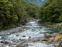 View up the river (Gillespie Pass Tramp Nov 2021)