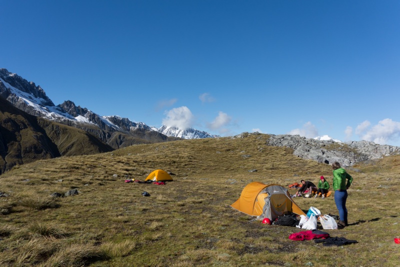 Camp in the morning (Hopkins Valley Tramp Jan 2015)
