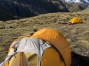 Tents (Hopkins Valley Tramp Jan 2015)
