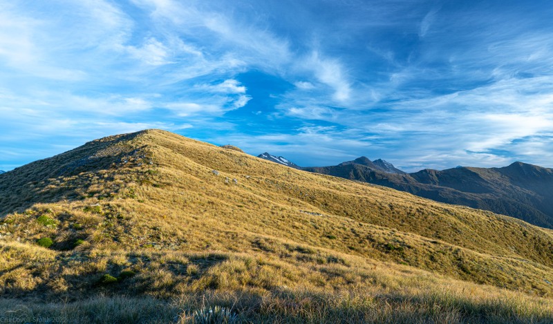 Tussock land (Adventures with Craichel Jan 2022)