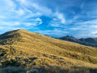 Tussock land (Adventures with Craichel Jan 2022)