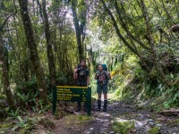 Walking in to Blowfly Hut (Adventures with Craichel Jan 2022)