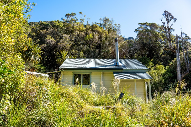 Camp Creek Hut (Tramping Mt Alexander Dec 2024)